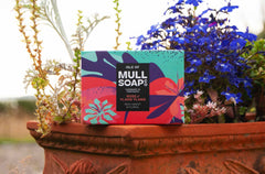 a rose and ylang ylang soap box sitting on the edge of a terracotta flower pot bursting with blue and white flowers.  The box is a pink and purple colourful floral design. The soap is described as rich, sweet and floral. Handmade in Tobermory by the Isle of Mull soap co.  